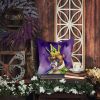Boxer King of Mardi Gras Throw Pillow Machine Washable, Indoor Outdoor Decorative Pillow for Couch, Bed or Patio, 18Hx18W
